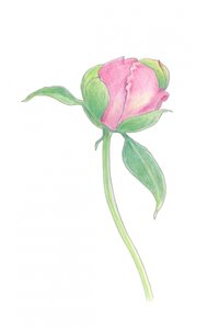  door Yvonne Gustafsson