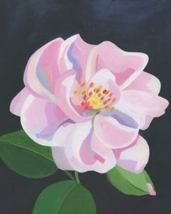  door Yvonne Gustafsson