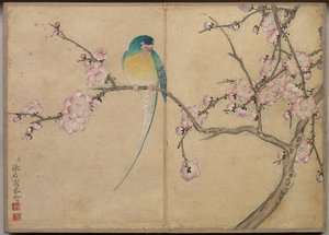 Bureaualbum: Bloemen- en vogel schilderijen Vogel met pruimenbloesems, 18e eeuw