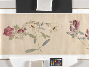 Gekleurde Bloemen door Zhimian Zhou