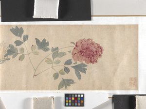 Gekleurde bloemen