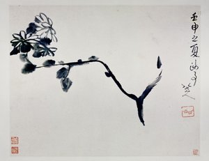 Chrysant, 1692 door Zhu Da