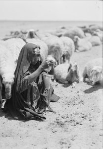 Een jonge bedoeïenherderin die spint nabij Beersheba