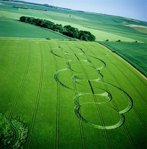Graancirkel in gerstveld, Beckhampton, Wiltshire, 5 juni 2005 (luchtfoto)