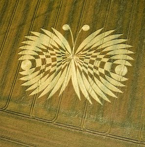 Graancirkel in tarweveld, Hailey Wood, Ashbury, Oxfordshire