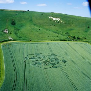 Graancirkel in tarweveld, Milk Hill, Alton Priors, Vale of Pewsey, Wiltshire