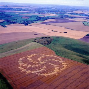 Graancirkel in tarweveld, Milk Hill, Alton Priors, Vale of Pewsey, Wiltshire