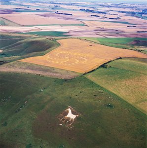 Graancirkel in tarweveld, Milk Hill, Alton Priors, Vale of Pewsey, Wiltshire