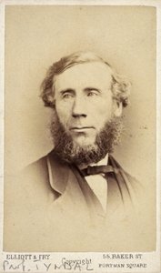 John Tyndall, Ierse natuurkundige, ca. 1875