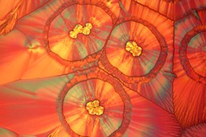 Micrografieën (Licht) Ascorbinezuur, lichtmicrografie