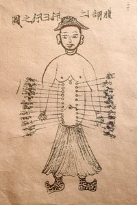 Museum van Traditionele Vietnamese Geneeskunde, De kanalen en vaten, Boek van acupunctuur, Ho Chi Minhstad, Vietnam