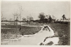 De rand van het meer