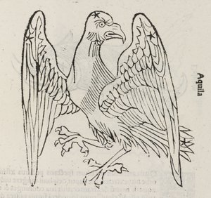Het sterrenbeeld Aquila door John Pardon