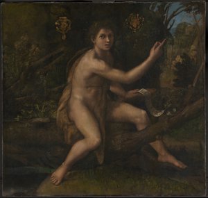 Sint Jan de Doper door Raphael