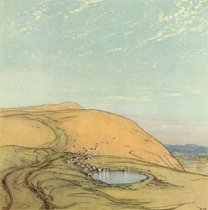 Sussex