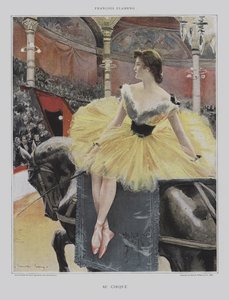 In het circus