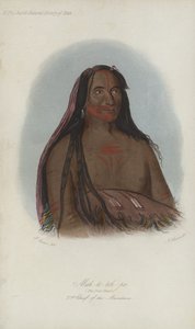 Mah-to-toh-pa, De Vier Beren, 2e Hoofdman van de Mandans (aquatint) door after George Catlin
