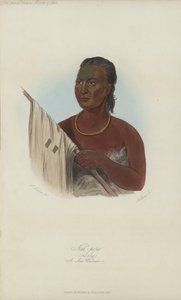 Nah-pope, De Soep, Een Sac Strijder (aquatint) door after George Catlin