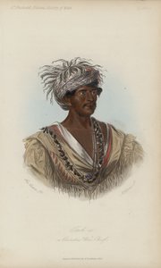 Tuch-ee, een Cherokee Oorlogshoofd (aquatint) door after George Catlin