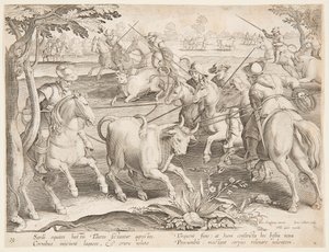 Vangen van wilde stieren