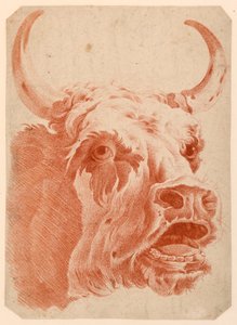 Hoofd van een koe door after Jean Baptiste Huet