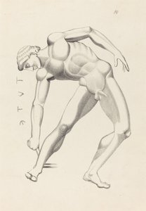 Tydaeus