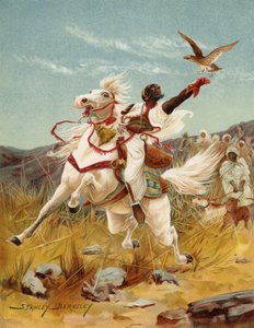 Valkenjacht in Marokko