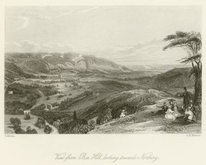 Uitzicht vanaf Box Hill, kijkend naar Norbury