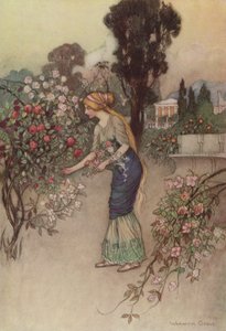 Geoffrey Chaucer, Het Verhaal van de Ridder door after Warwick Goble