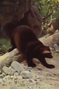 Veelvraat door after Wilhelm Kuhnert