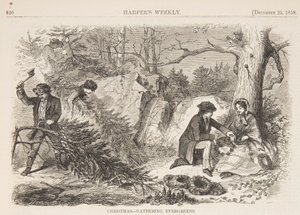 Kerstmis – Het verzamelen van groenblijvers