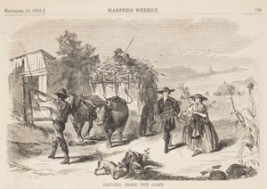 Het Koren naar Huis Rijden