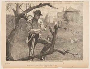 Lente Boerderijwerk – Enten