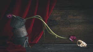 Donkere bloemige schedel door alan shapiro