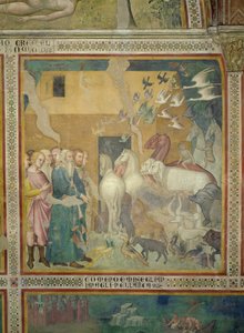 Noach leidt de dieren naar de ark, 1356-67
