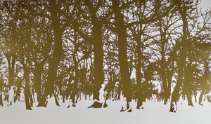 Bomen van het leven