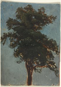 Boomstudie door attributed to Alexandre Calame
