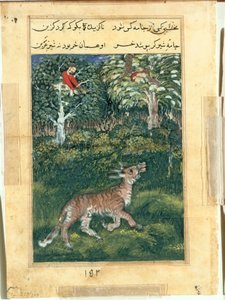 De ezel, in een tijgervel, onthult zijn identiteit door luid te balken, uit een Tuti-nama (Verhalen van een Papegaai): Eenendertigste Nacht door attributed to Basavana