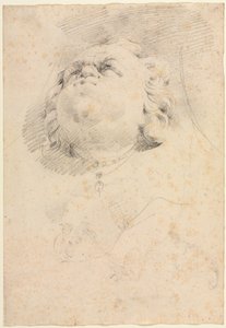 Schets van hoofden na Giambologna