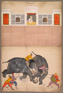 Twee Olifanten Vechten in een Binnenplaats voor Muhammad Shah door attributed to Nainsukh