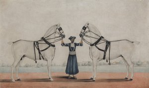 Een Syce Groom die Twee Koetspaarden Vasthoudt, ca. 1845 door attributed to Shaikh Muhammad Amir of