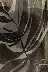 Samenvatting: Botanische stroming door cartissi