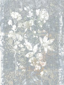 Abstract Grey Botanicals door cartissi