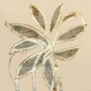 Abstracte bladeren met textuur door cartissi