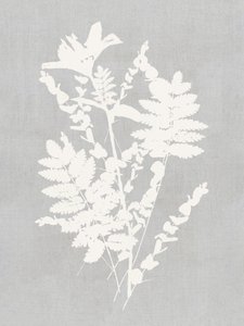 Studie naar botanische silhouetten door cartissi
