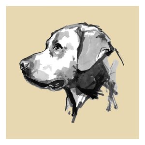 Profiel van een expressieve hond door cartissi