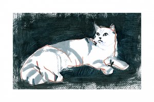 Liggende witte kat door cartissi