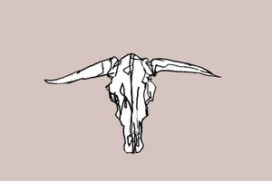 Minimalistische Longhorn-schedel