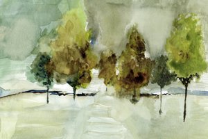 Mistige groene bomen door cartissi