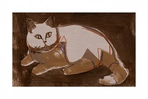 Een moderne kat rust uit door cartissi